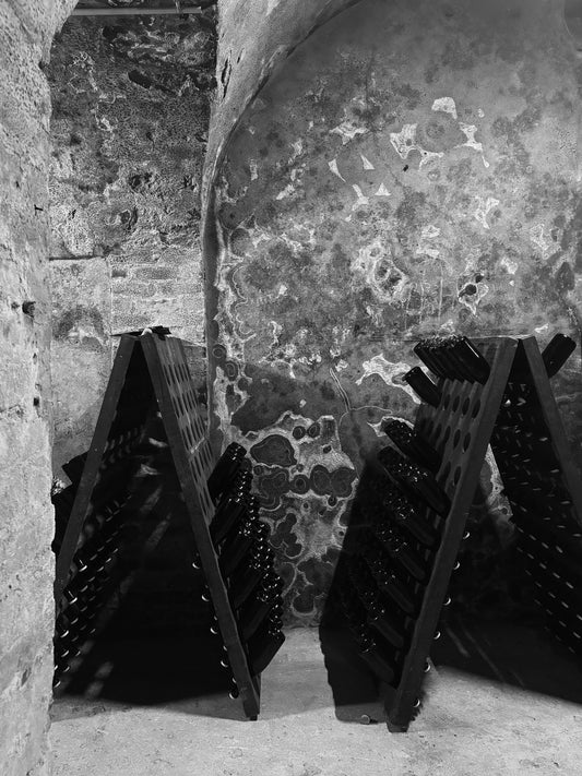 DÉGUSTATION 3 VINS & VISITE DE CAVE